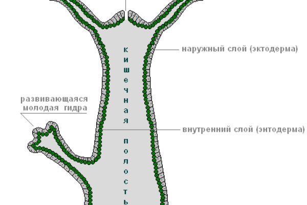 Кракен 2024 сайт