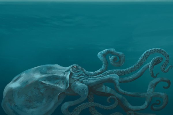 Kraken hydra